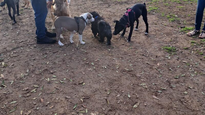 Andreson Park - Rialto, CA