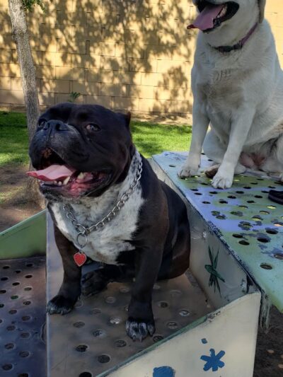 Andreson Park - Rialto, CA