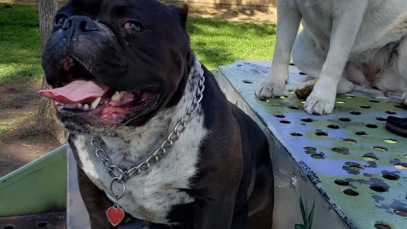 Andreson Park - Rialto, CA