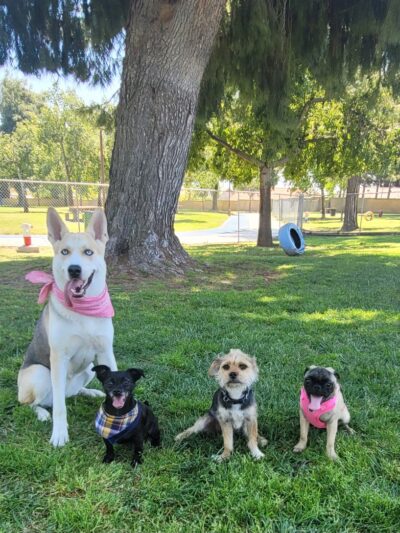 Andreson Park - Rialto, CA