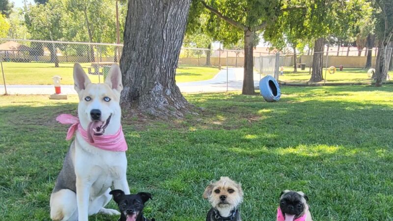 Andreson Park - Rialto, CA