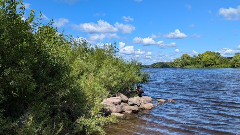 Mississippi River County Park - Rice, MN