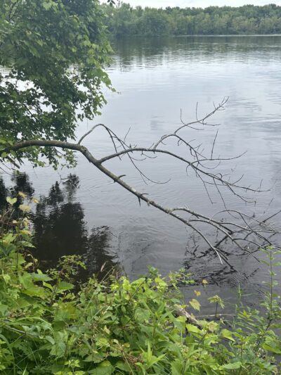 Mississippi River County Park Upper Group - Rice, MN