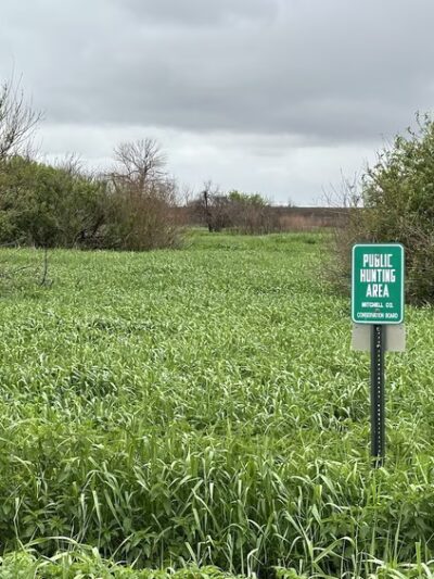 Dale Wildlife Area - Riceville, IA