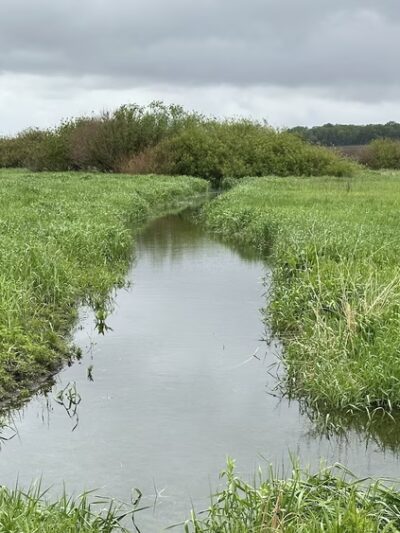 Dale Wildlife Area - Riceville, IA