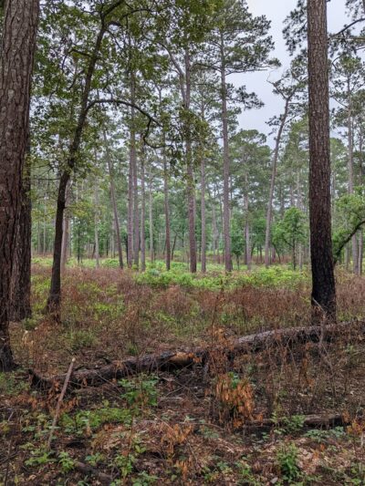 LSHT Trailhead #1: Richards - Richards, TX