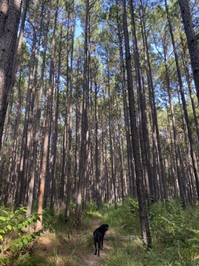 LSHT Trailhead #1: Richards - Richards, TX