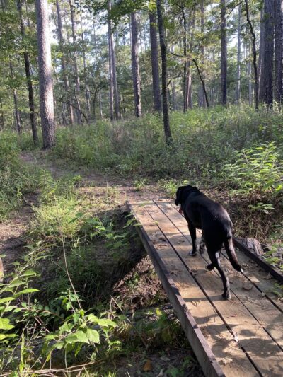 LSHT Trailhead #1: Richards - Richards, TX