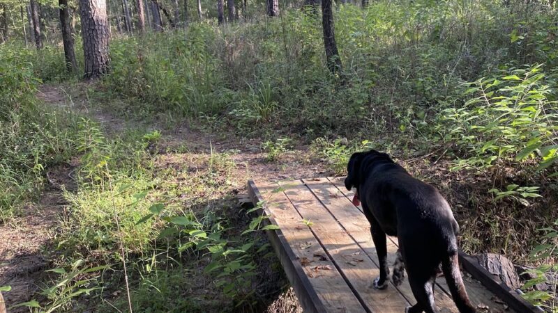 LSHT Trailhead #1: Richards - Richards, TX