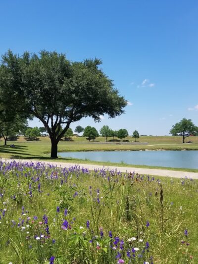 Breckinridge Park - Richardson, TX