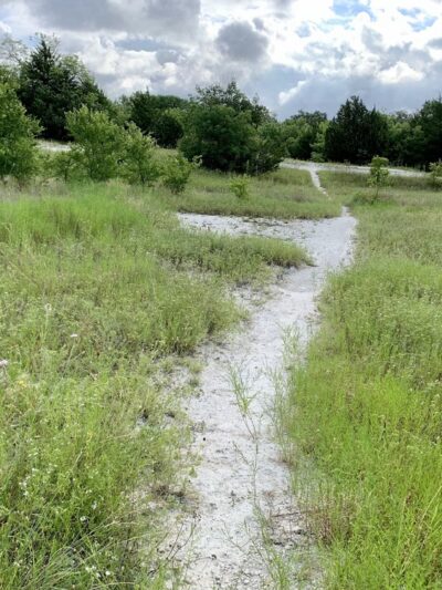Breckinridge Park - Richardson, TX