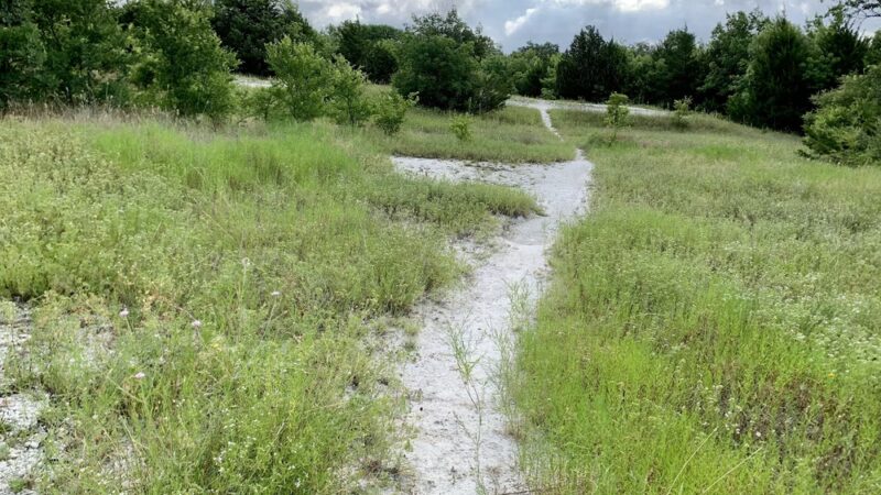 Breckinridge Park - Richardson, TX