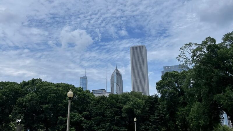 Buckingham Park - Richardson, TX