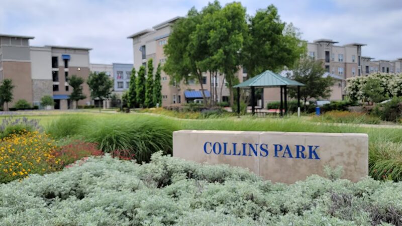 Collins Park - Richardson, TX