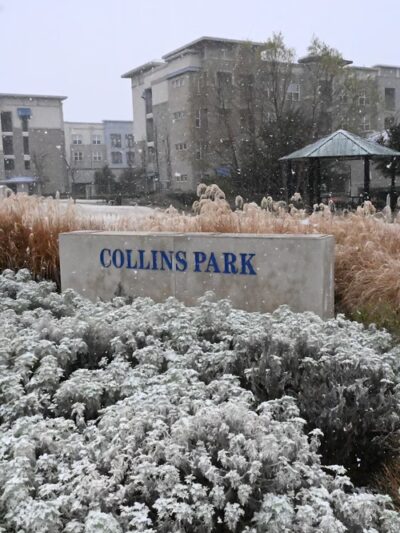 Collins Park - Richardson, TX