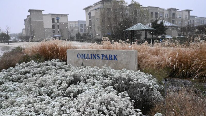 Collins Park - Richardson, TX