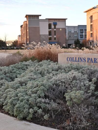 Collins Park - Richardson, TX