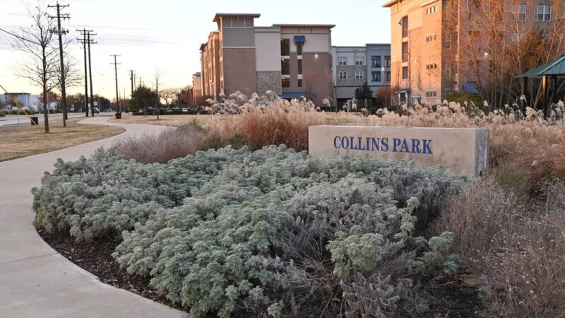 Collins Park - Richardson, TX