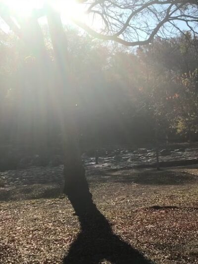 Duck Creek Linear Park - Richardson, TX