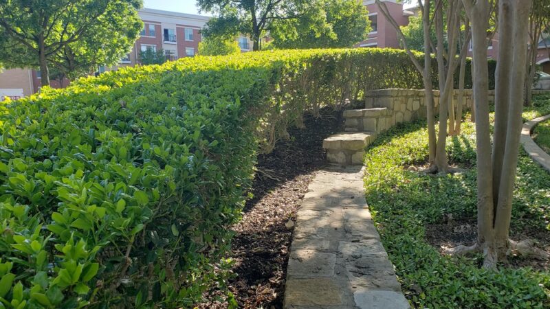 McKamy Spring Park - Richardson, TX