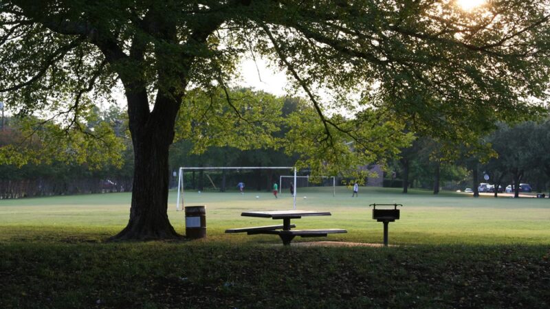 Mimosa Park - Richardson, TX