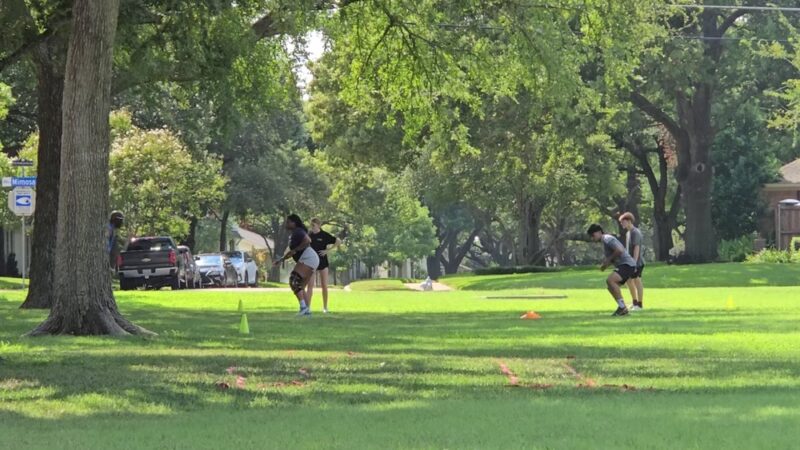 Mimosa Park - Richardson, TX