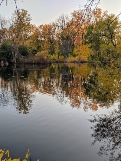 Richfield Lake Park - Richfield, MN