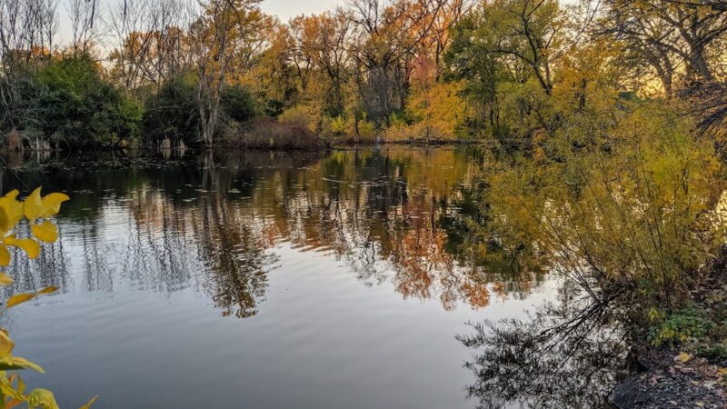 Richfield Lake Park - Richfield, MN