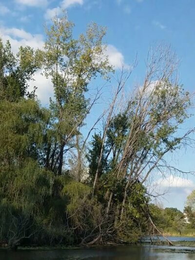 Richfield Lake Park - Richfield, MN