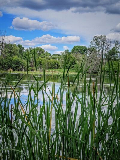 Richfield Lake Park - Richfield, MN