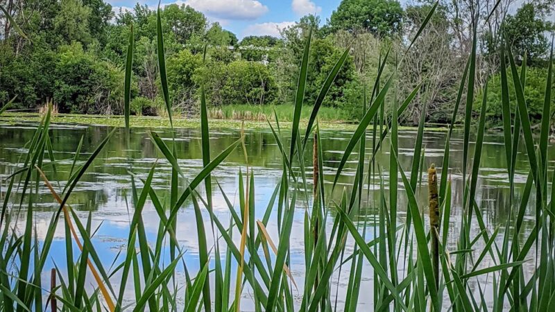 Richfield Lake Park - Richfield, MN