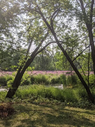 Sheridan Park - Richfield, MN