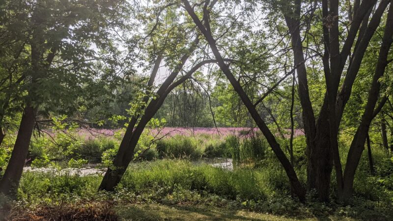 Sheridan Park - Richfield, MN