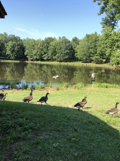 Richfield Park - Richfield, NC