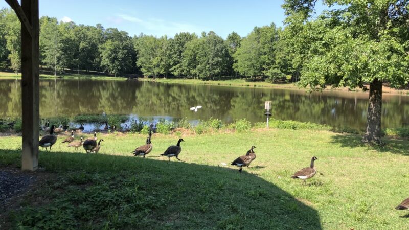 Richfield Park - Richfield, NC