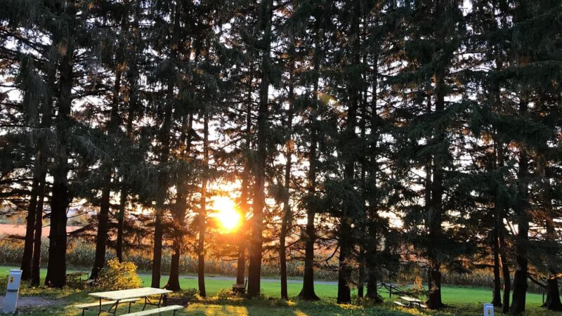 Cooperstown KOA Journey - Richfield Springs, NY