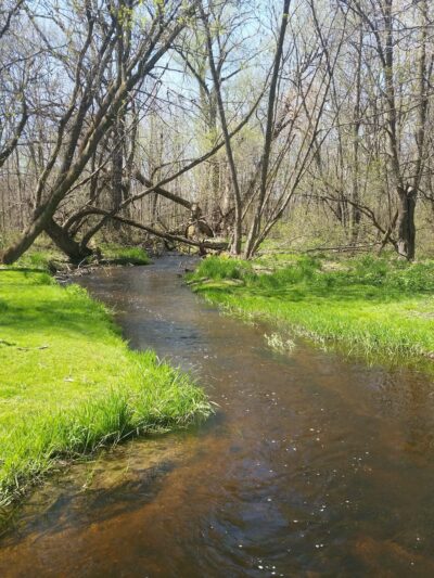 Richfield Nature Park - Richfield, WI