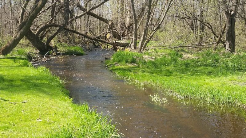 Richfield Nature Park - Richfield, WI