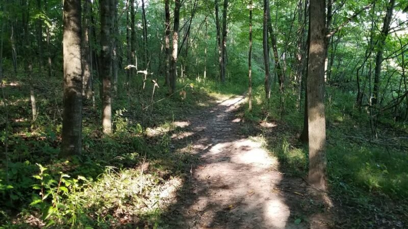 Richfield Nature Park - Richfield, WI