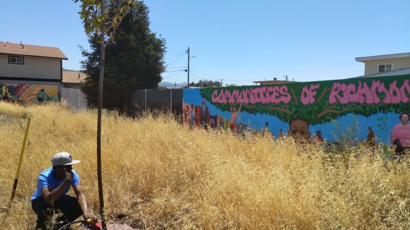 42nd & Greenway Pocket Park - Richmond, CA
