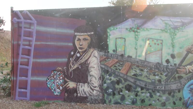 42nd & Greenway Pocket Park - Richmond, CA