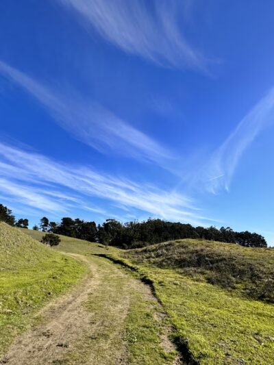 Alvarado Park - Richmond, CA