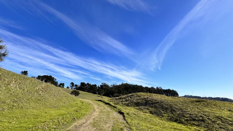 Alvarado Park - Richmond, CA