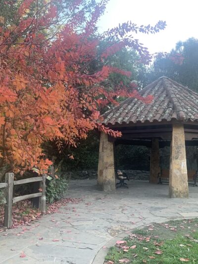 Alvarado Park - Richmond, CA
