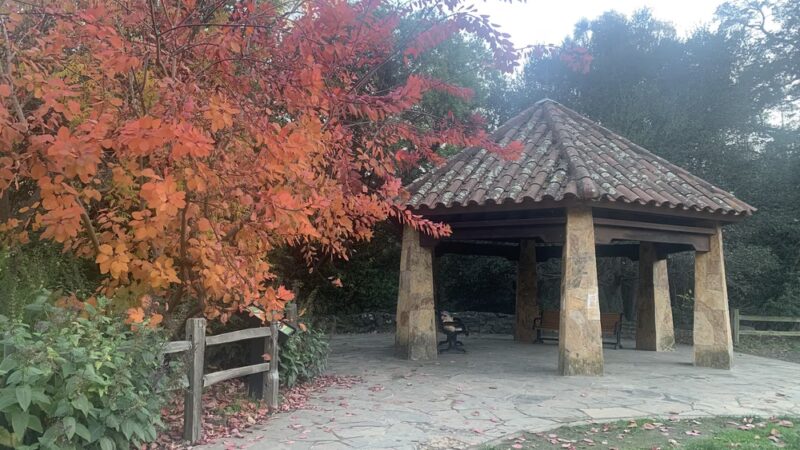 Alvarado Park - Richmond, CA