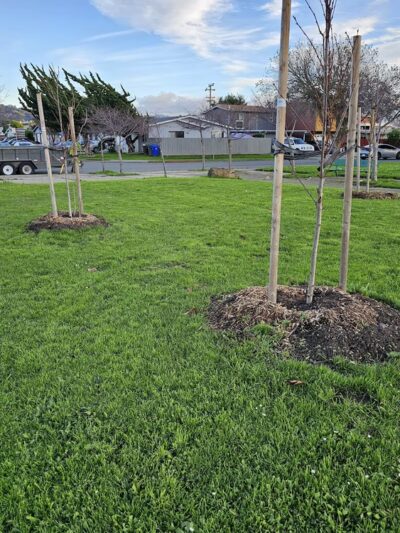 John F. Kennedy Park - Richmond, CA