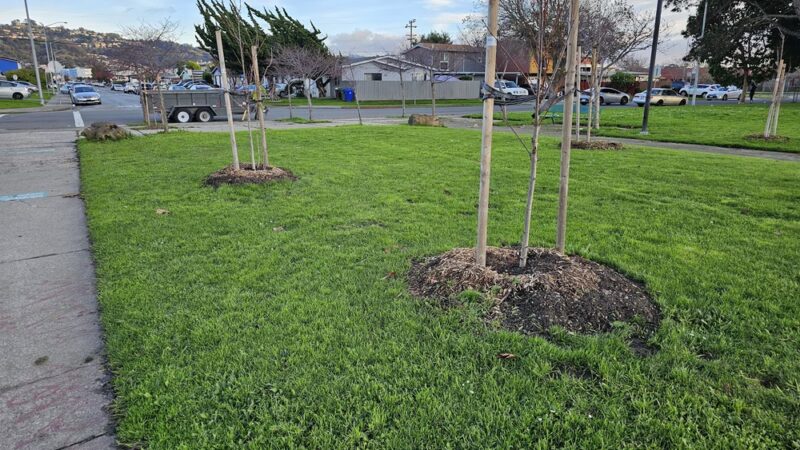 John F. Kennedy Park - Richmond, CA