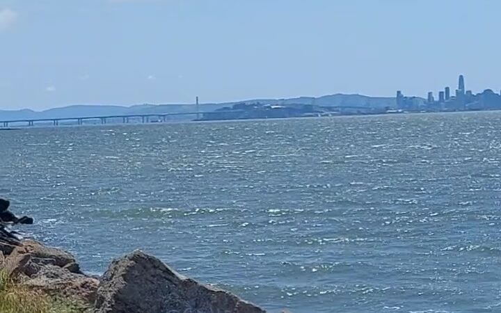 Point Isabel Regional Shoreline - Richmond, CA