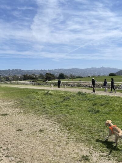 Point Isabel Regional Shoreline - Richmond, CA