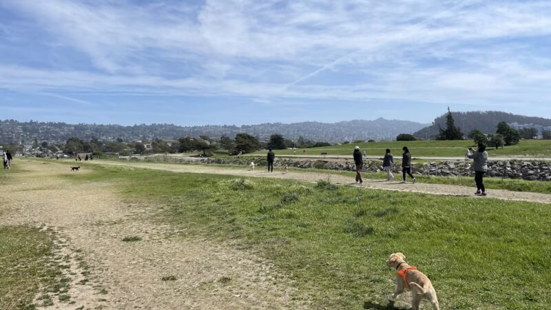 Point Isabel Regional Shoreline - Richmond, CA